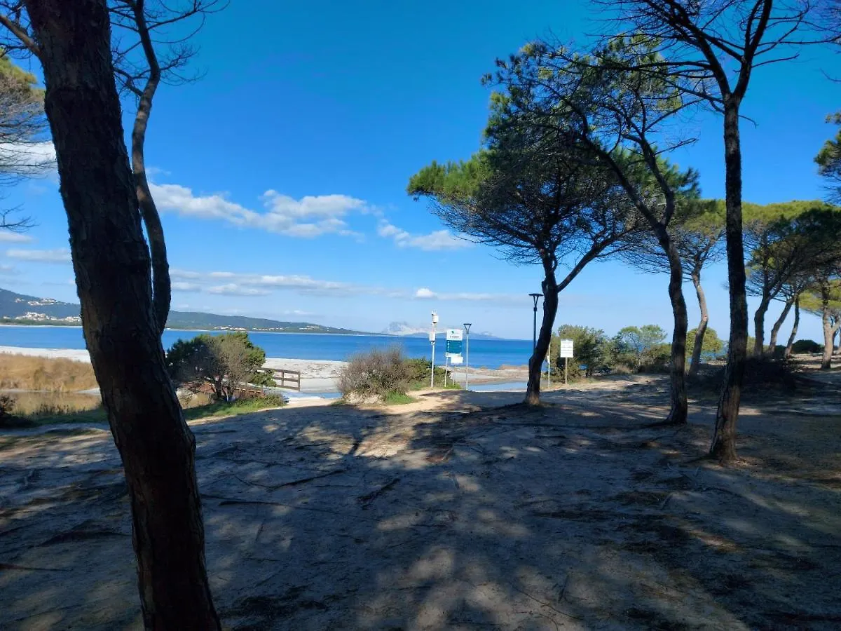 Villa Villetta Gallura 13 Budoni Italia